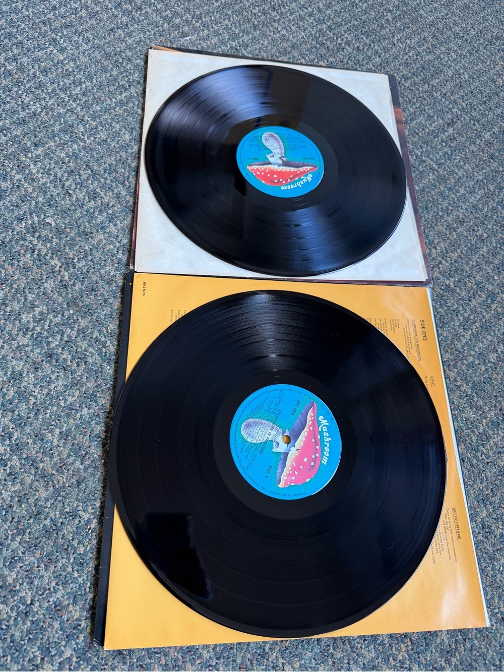 Chilliwack Vintage Vinyl Records - Picture 2 of 2